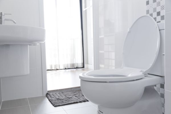 Cost of Toilet Seat Installation in Edison